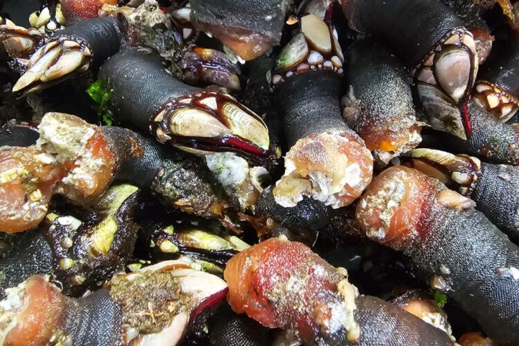 Ración de percebes en la Fiesta del Percebe de O Roncudo en Corme